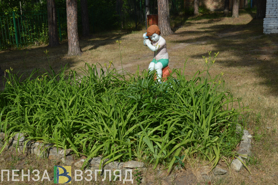 Электронная очередь, новые корпуса и бесплатные путевки - что Пензенской области известно о работе летних лагерей?