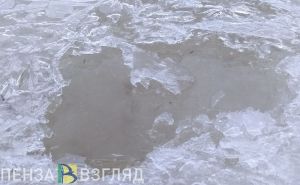 Мельниченко поручил обеспечить пензенцев в зоне подтопления всем необходимым