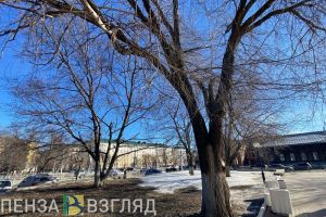 В Пензе 22 апреля состоится общегородской субботник