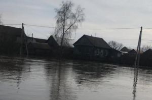 В Сердобске из подтопленного дома эвакуировали семью с ребенком