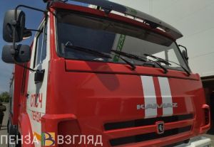 Утвержден сводный план тушения лесных пожаров в Пензенской области