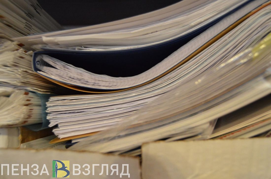На конкурс по благоустройству парка в Сердобске на Госзакупках поступила одна заявка