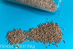 Пензенцам рассказали, чем заменить мясо в пост
