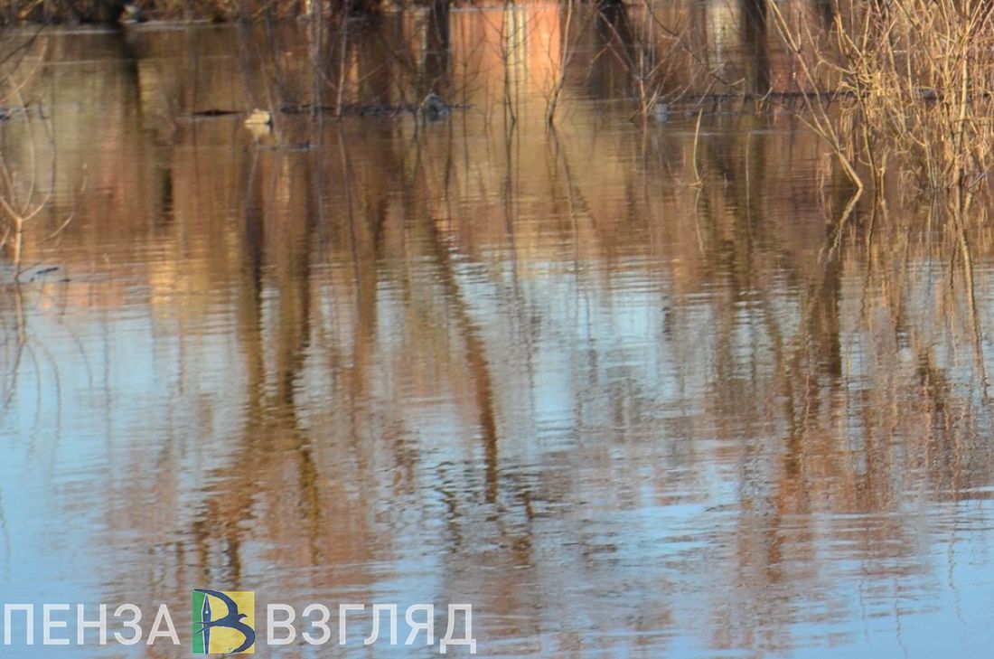 Уровень воды в Сурском водохранилище за сутки поднялся на метр