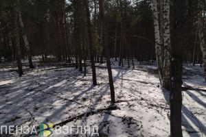 Жителей Пензенской области предупреждают об ухудшении погодных условий 20 марта