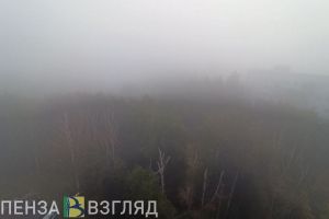 Туман и 13 градусов тепла ожидается в Пензенской области 20 марта