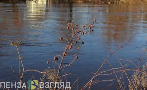 Уровень воды в Сурском водохранилище продолжает расти