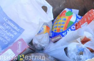 Пензенец пожаловался губернатору на городскую свалку