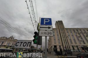 В Пензе поймали нарушителей, решивших не платить за парковку