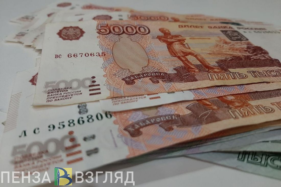 В Пензенской области назвали отрасль с наивысшей зарплатой в 2022 году