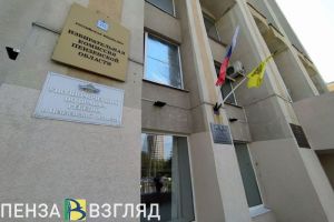Елена Столярова получила более 800 обращений от пензенцев в 2022 году