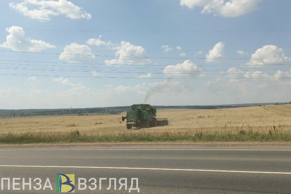 В Пензенской области собрали более 2 миллионов тонн сахарной свеклы