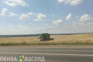 В Пензенской области собрали более 2 миллионов тонн сахарной свеклы
