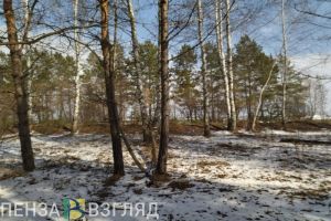 В Пензенской области разыскивают 71-летнего мужчину с металлической тростью