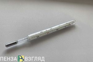 4 тысячи случаев ОРВИ зафиксировали в Пензенской области за неделю