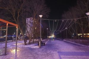 Мэрия Пензы пообещала вернуть парк «Союз» на светлую сторону