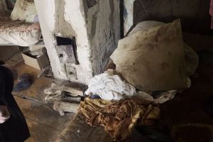 В Пензенской области разбуженная женщина забила супруга поленом