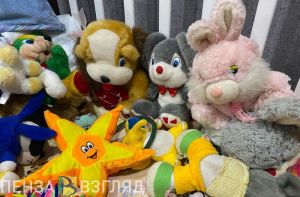 Кузнечанка выдумала трех дочерей, чтобы получить от государства 1 миллион рублей