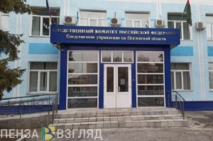 Жительница Пензенской области обвиняется в неправомерном обороте средств платежей