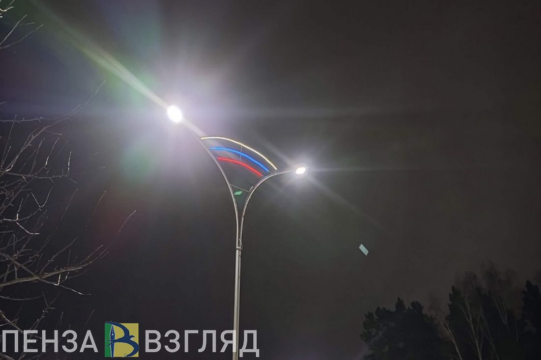 Световые опоры на Осоавиахимовской улице в Пензе заменят в этом году