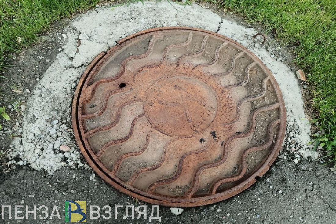 Пензенские спасатели извлекли из колодца собаку