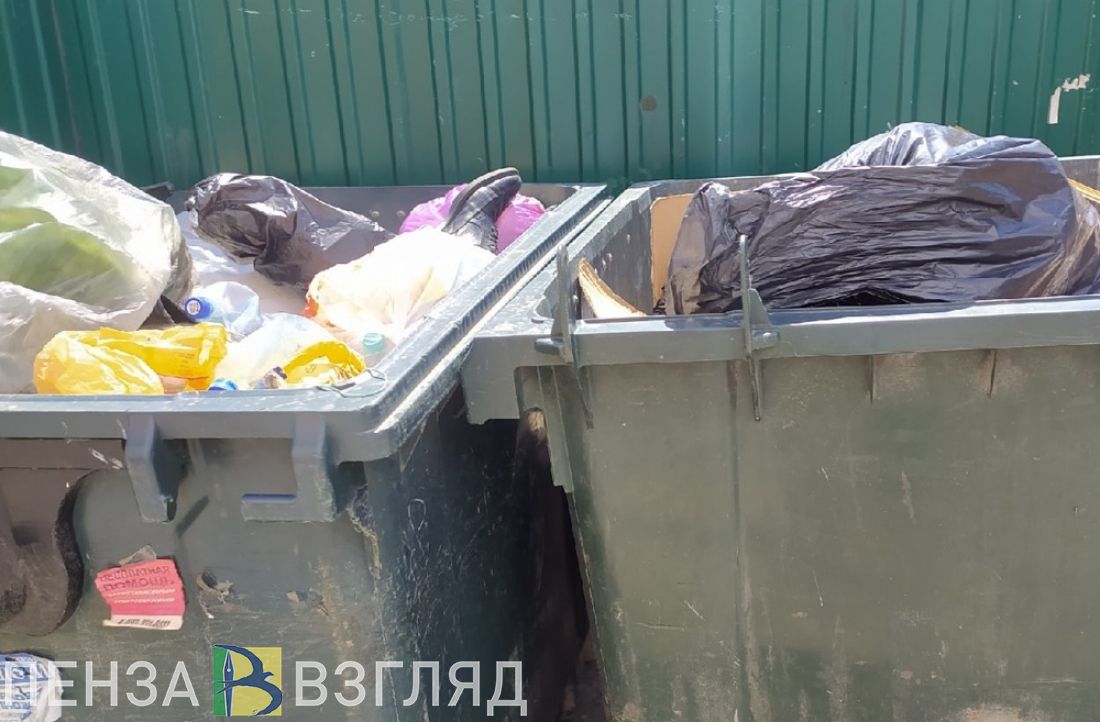 Пензенцы вышли на первую санитарную пятницу месячника по благоустройству