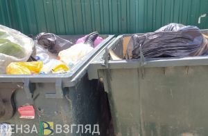 Пензенцы вышли на первую санитарную пятницу месячника по благоустройству