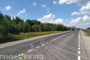 Политолог Роман Базиков отметил достижения в Пензенской области в строительстве дорог