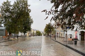 Дождливая погода, пропавший мужчина и прививки от кори - новости Пензенской области за 26 марта