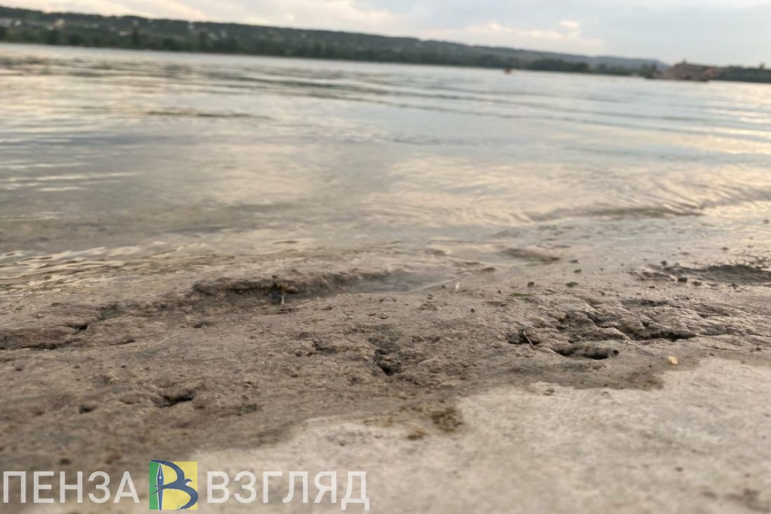 В Бессоновском районе обследовали русло реки Шелдоис