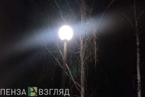 Чиновники Пензенского района взяли две недели на решение проблемы опасного столба