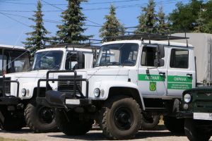 В Пензенской области заявили о готовности к пожароопасному сезону