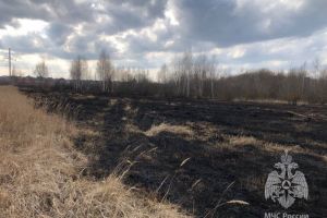 В Пензенской области зафиксированы первые палы травы
