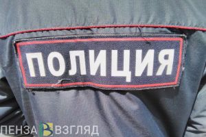Жительница села в Кузнецком районе совершила ложный донос на соседок