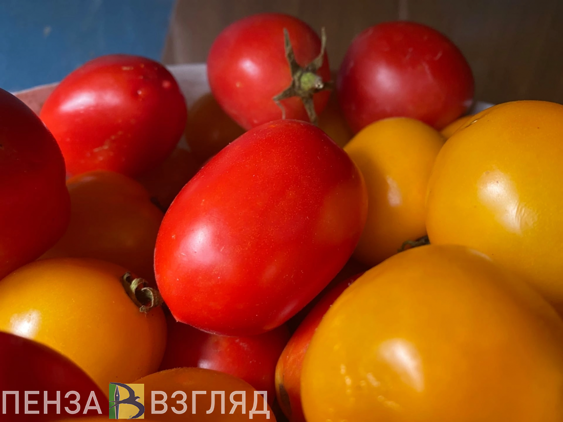 Пензенцам рассказали о способе профилактики болезни Альцгеймера