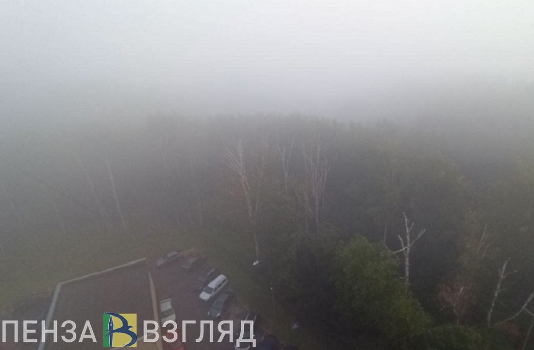 В Пензенской области ожидается плохая видимость из-за тумана