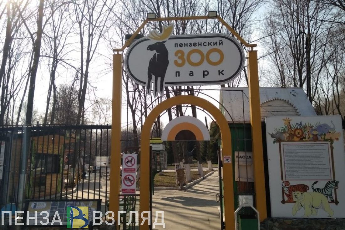 В пензенском зоопарке изменился режим работы