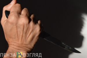 В суд направлено дело пензенца, избившего мать до смерти из-за алкоголя