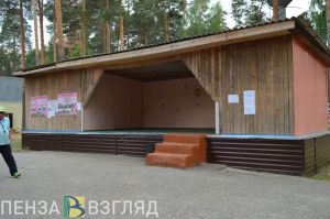 Очередь в лагеря, незаконная рубка леса и новые школы - новости Пензенской области за 29 марта