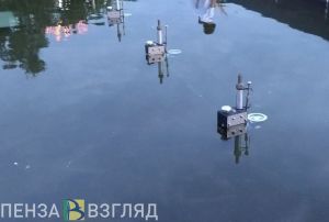 В сквере Ермина в Пензе намерены отремонтировать фонтан