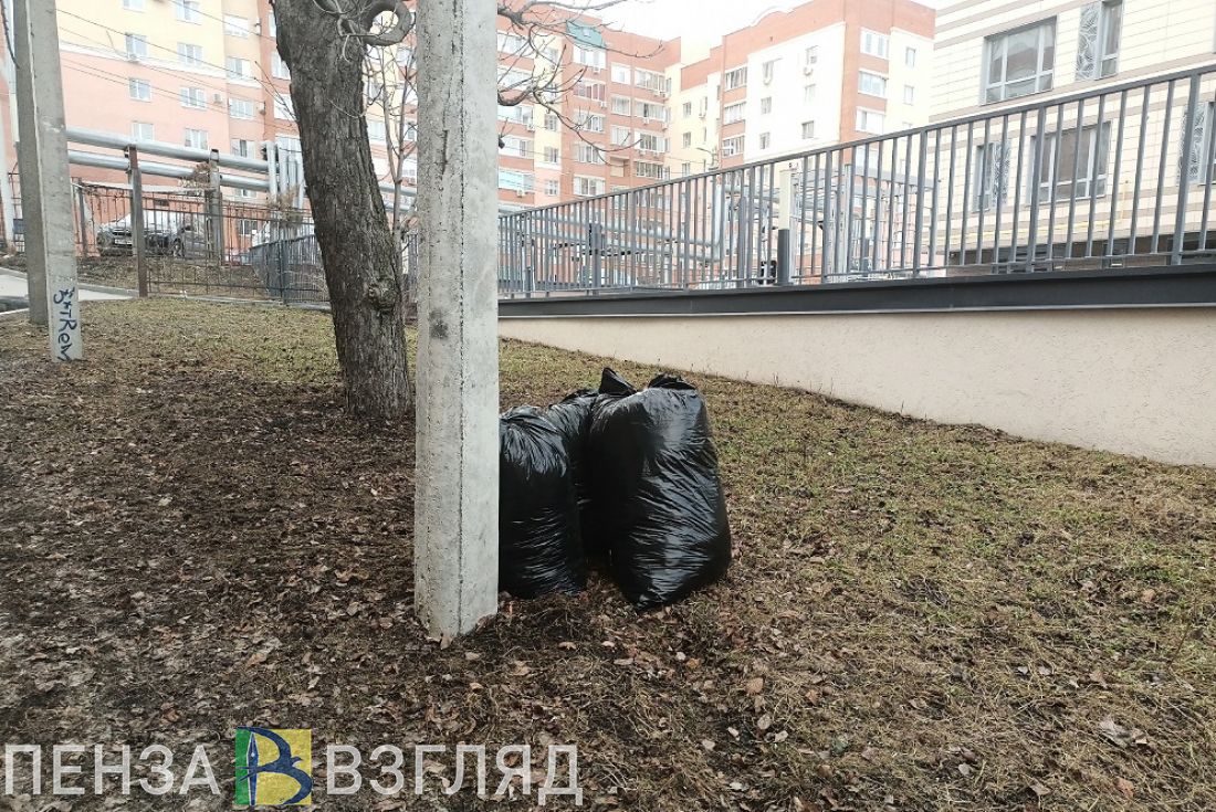 Басенко: «Стараемся уделить внимание уборке на окраинах Пензы»