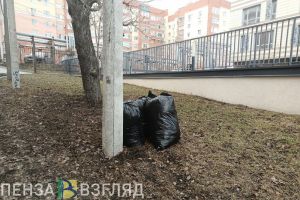 Басенко: «Стараемся уделить внимание уборке на окраинах Пензы»