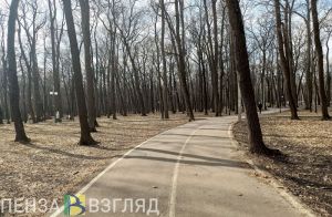 В начале апреля температура в Пензенской области будет выше нормы