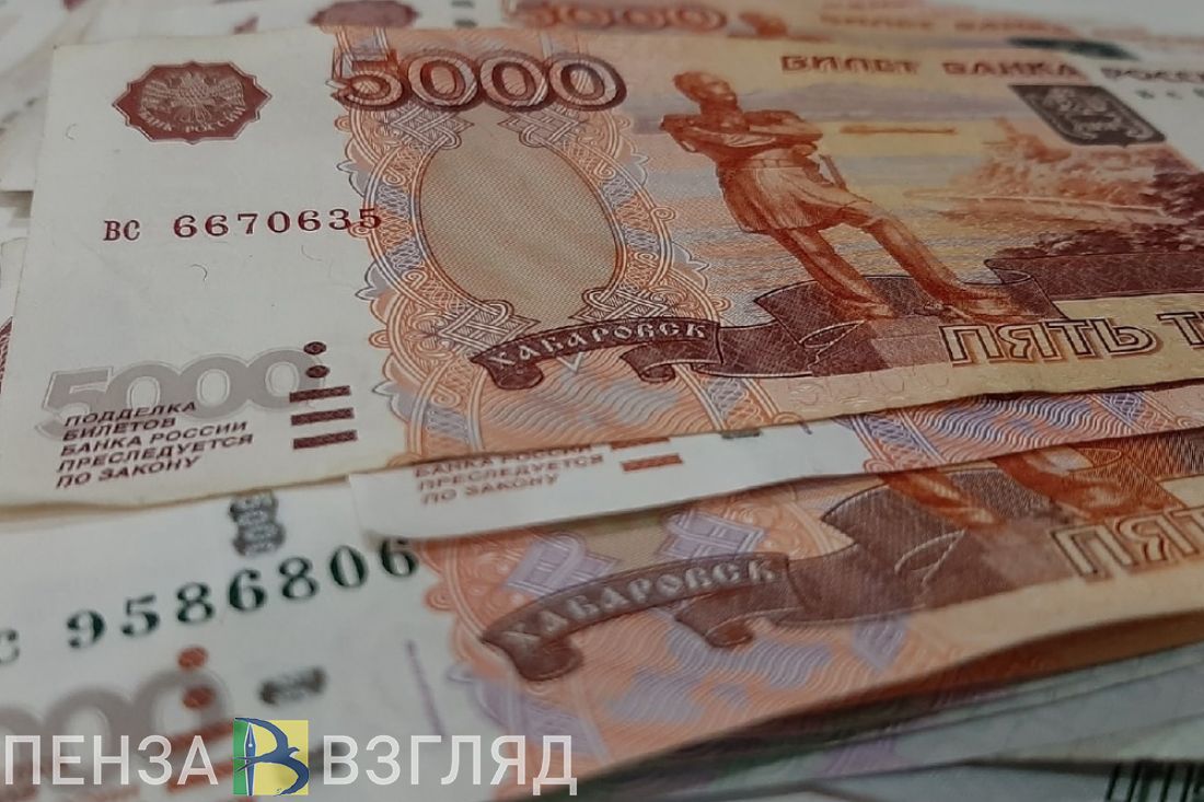 Депутаты пензенской Гордумы озадачились расходами на содержание дорог