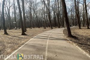 До 15 градусов тепла ожидается 2 апреля в Пензенской области
