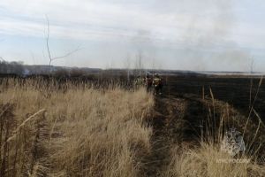 Сегодня пожарные боролись с возгораниями сухостоя в 7 муниципалитетах Пензенской области