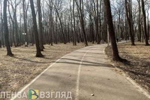 В понедельник в Пензенской области температура поднимется до +16 градусов