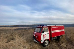 Пензенские пожарные ликвидировали возгорание возле трассы М-5