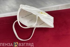 Подворье в селе в Пензенской области признали эпизоотическим очагом по бешенству