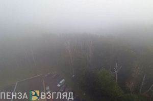 «Туманный» прогноз сделали пензенские синоптики на 5 апреля